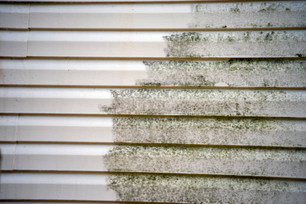 Best Composite Siding  in Union City, NJ