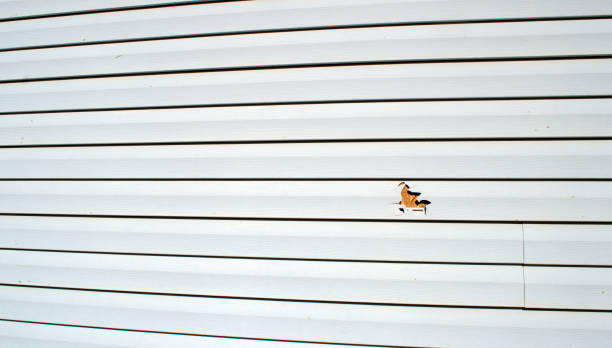 Best Residential Vinyl Siding Installation  in Union City, NJ