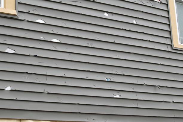 Best Custom Siding Design  in Union City, NJ